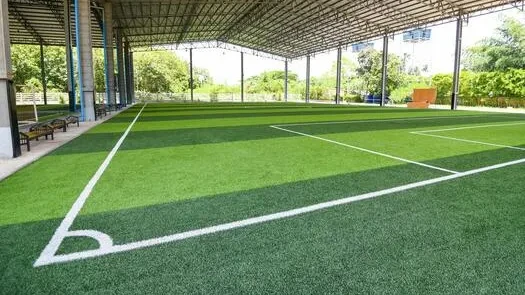 Green Arena Football Center